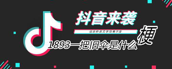 1893一把旧伞含义出处意思详情