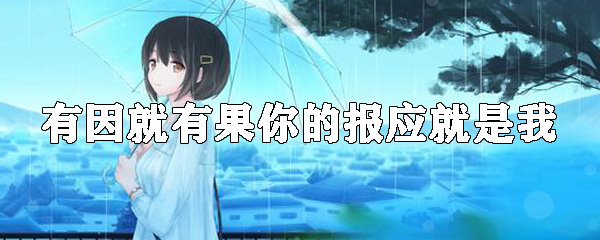 有因就有果你的报应就是我是什么意思