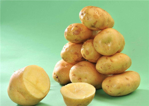 土豆精是什么梗一览