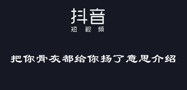 《抖音》把你骨灰都给你扬了是什么梗