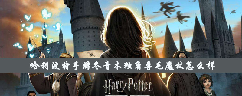 《哈利波特》手游冬青木独角兽毛魔杖怎么样