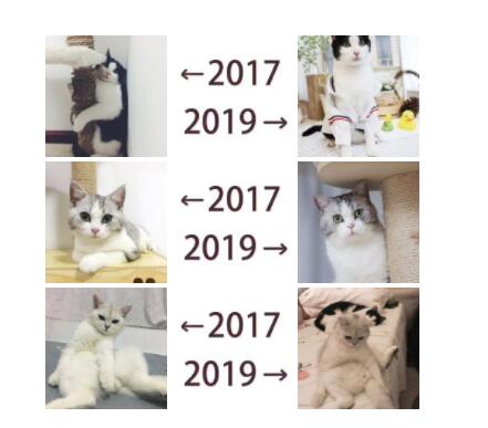 朋友圈晒2017-2019什么意思