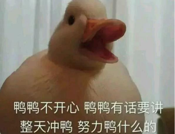 《抖音》duck不必是什么梗