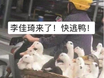 《抖音》duck不必是什么梗