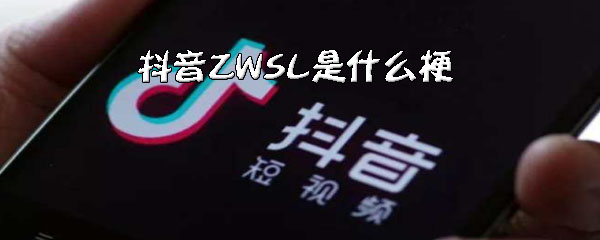 《抖音》ZWSL是什么梗