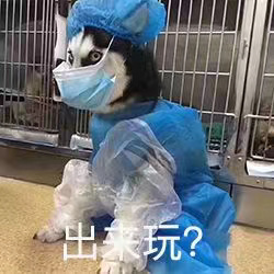 《抖音》猫猫带口罩表情包