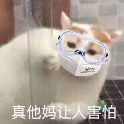 《抖音》猫猫带口罩表情包