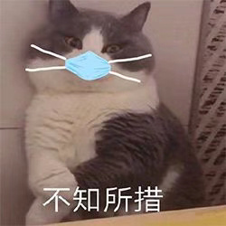 《抖音》猫猫带口罩表情包