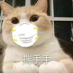 《抖音》猫猫带口罩表情包