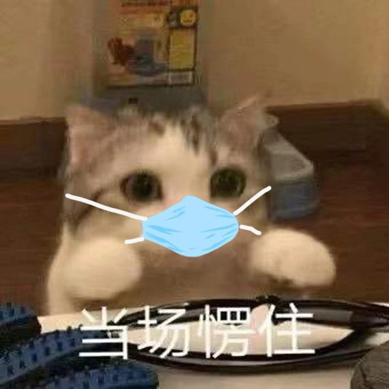 《抖音》猫猫带口罩表情包