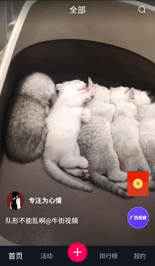 牛街视频