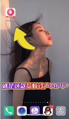 西瓜宝贝