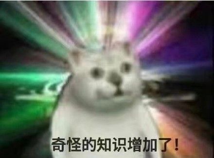 抖音蹦迪猫表情包