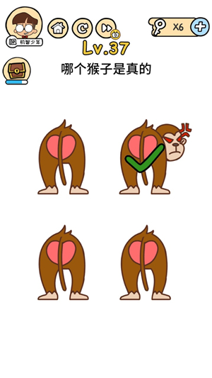 《脑洞大大大》第37关怎么过