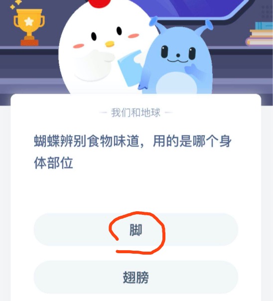 《支付宝》蝴蝶辨别食物味道，用的是哪个身体部位2020年10月12日蚂蚁庄园每日一题答案