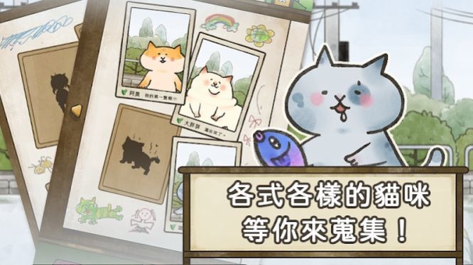 猫箱物语安卓版