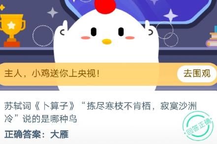 《支付宝》苏轼词《卜算子》“拣尽寒枝不肯栖，寂寞沙洲冷”说的是哪种鸟?2020年11月5日蚂蚁庄园答案