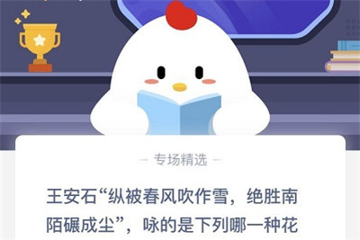 《支付宝》王安石“纵被春风吹作雪，绝胜南陌碾成尘”，咏的是下列哪一种花2020年11月6日蚂蚁庄园今日每日一题答案