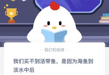 《支付宝》我们买不到活带鱼是因为海鱼到淡水后2020年11月9日蚂蚁庄园今日每日一题答案
