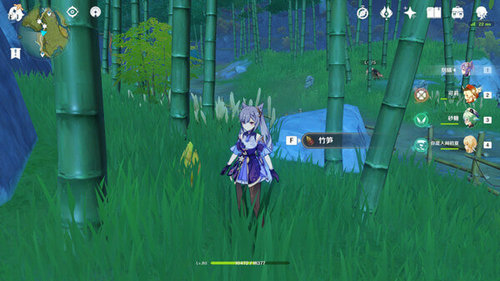 《原神》竹笋采集位置分享