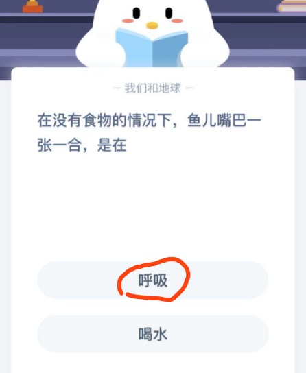 《支付宝》在没有食物的情况下，鱼儿嘴巴一张一合，是在2020年11月23日蚂蚁庄园今日每日一题答案
