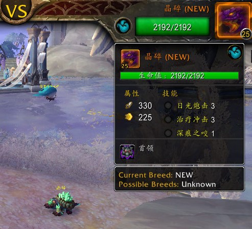 《魔兽世界》晶碎打法攻略
