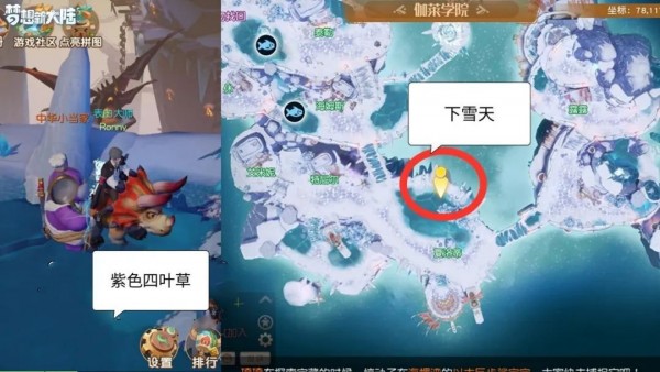 《梦想新大陆》奇遇任务有哪些