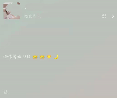 《微信》等级怎么看