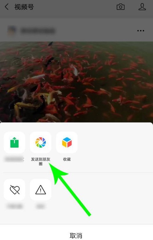 《微信》视频号怎么显示在朋友圈
