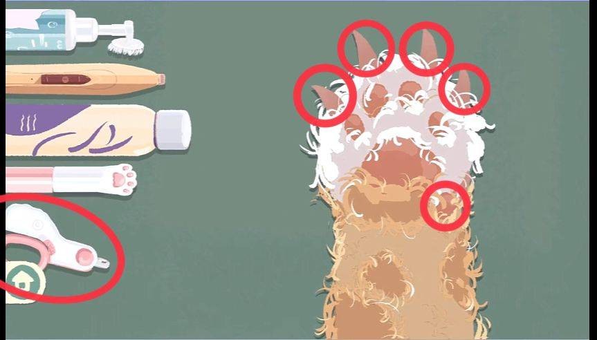 收纳物语猫爪怎么过（收纳物语粉粉肉垫怎么过）