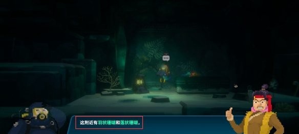 《潜水员戴夫》羽状珊瑚和莲状珊瑚在哪