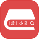 爱上小说安卓版下载2021