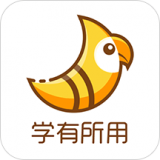 斑鸠职业 斑鸠职业