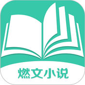 燃文小说2020最新版