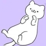 只有猫咪才能赢红包版 只有猫咪才能赢红包版