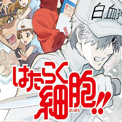 工作细胞BLACK第二集无删减下载