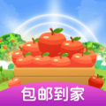 官方版果园红包版