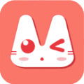 飞猫小说哑巴新妻