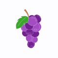 葡萄社区app