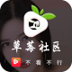 草莓社区app官方版下载