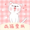 萌猫桌面壁纸 萌猫桌面壁纸