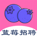蓝莓招聘 蓝莓招聘