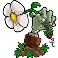 植物大战僵尸重制版手机版