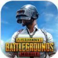 绝地求生pubg mobile 绝地求生pubg mobile