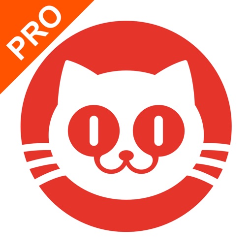 猫眼电影专业版app下载