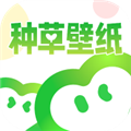 种草壁纸2024最新版