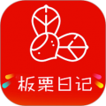 板栗日记2024最新版
