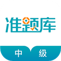 中级审计师准题库
