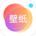 手机动态壁纸大全2024最新版下载