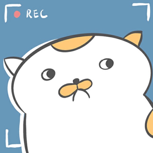主播和猫的故事游戏下载